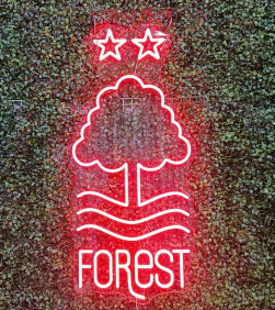 custom neon sign in business interior