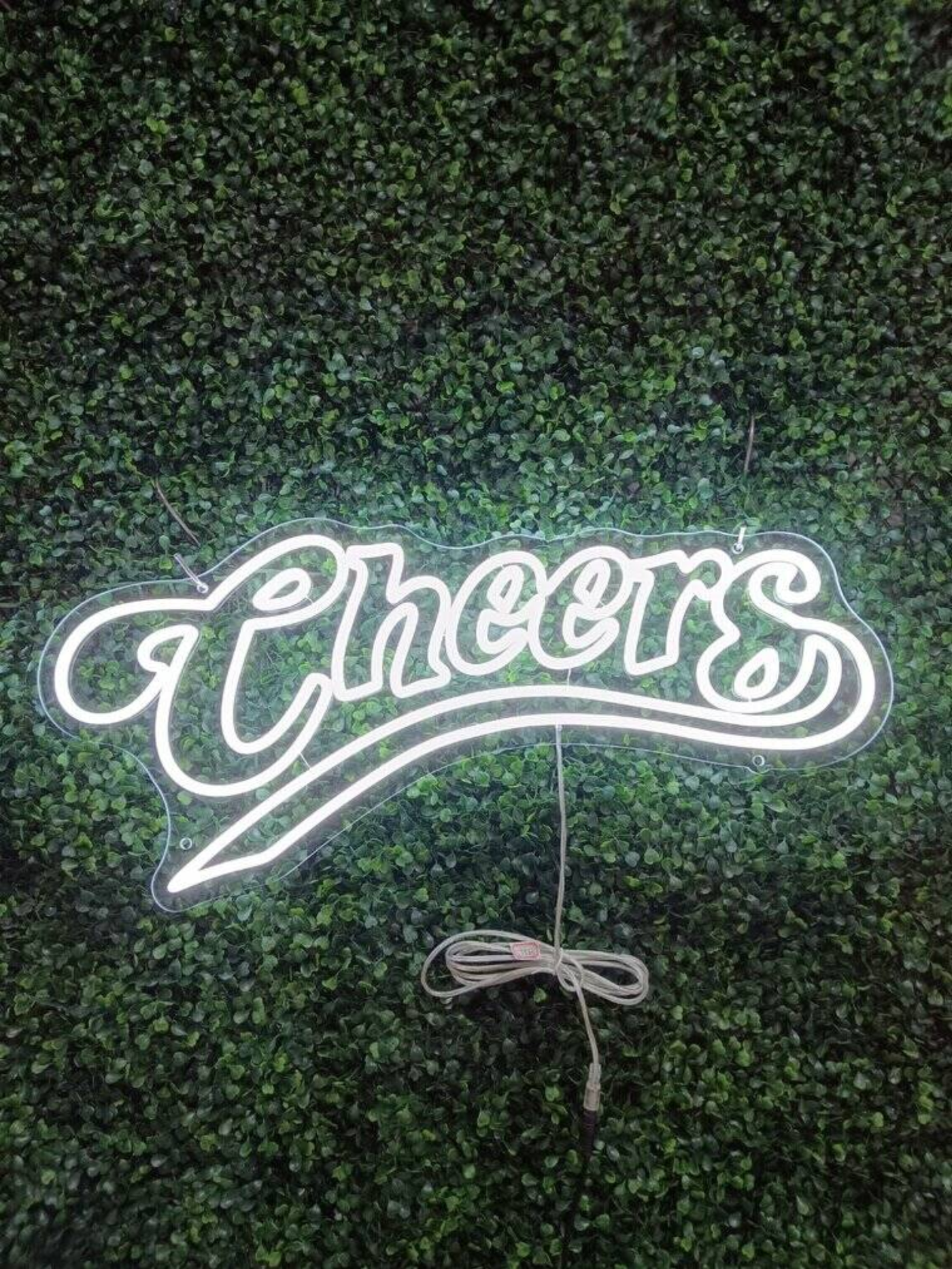 custom neon sign in business interior