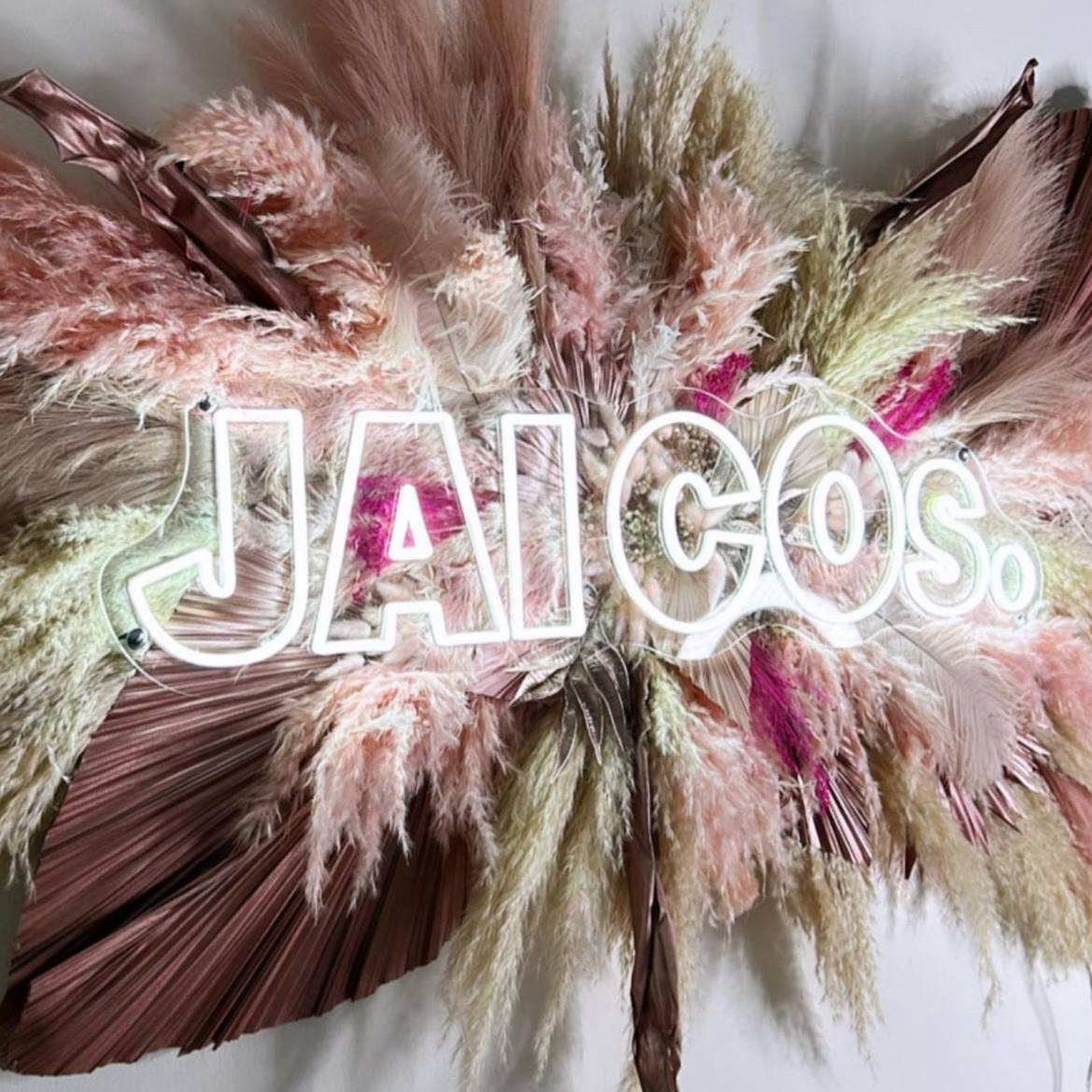 Neon sign with 'JAICOs.' surrounded by dried pink and green feathers on a white background
