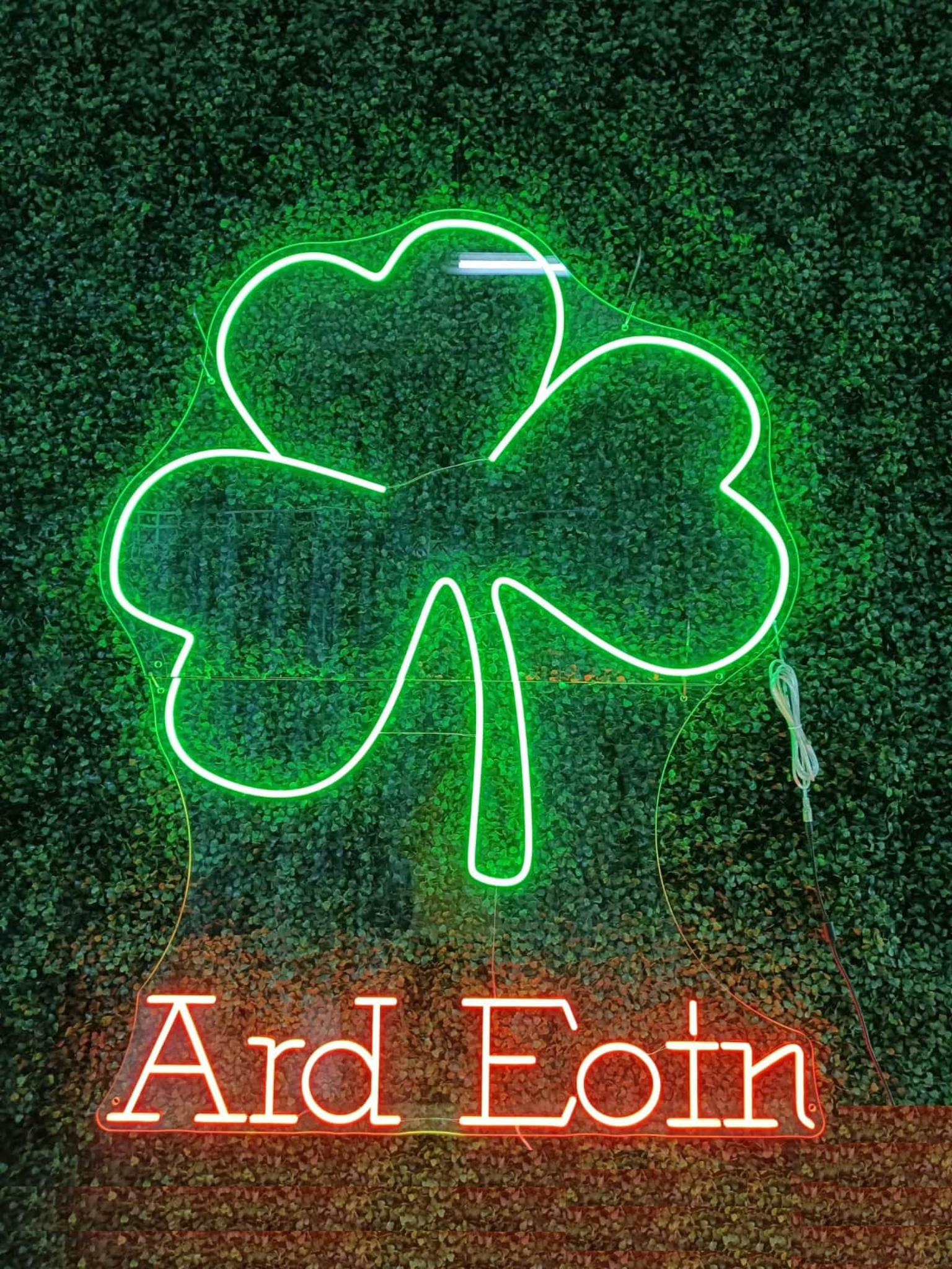 Video Cover Image