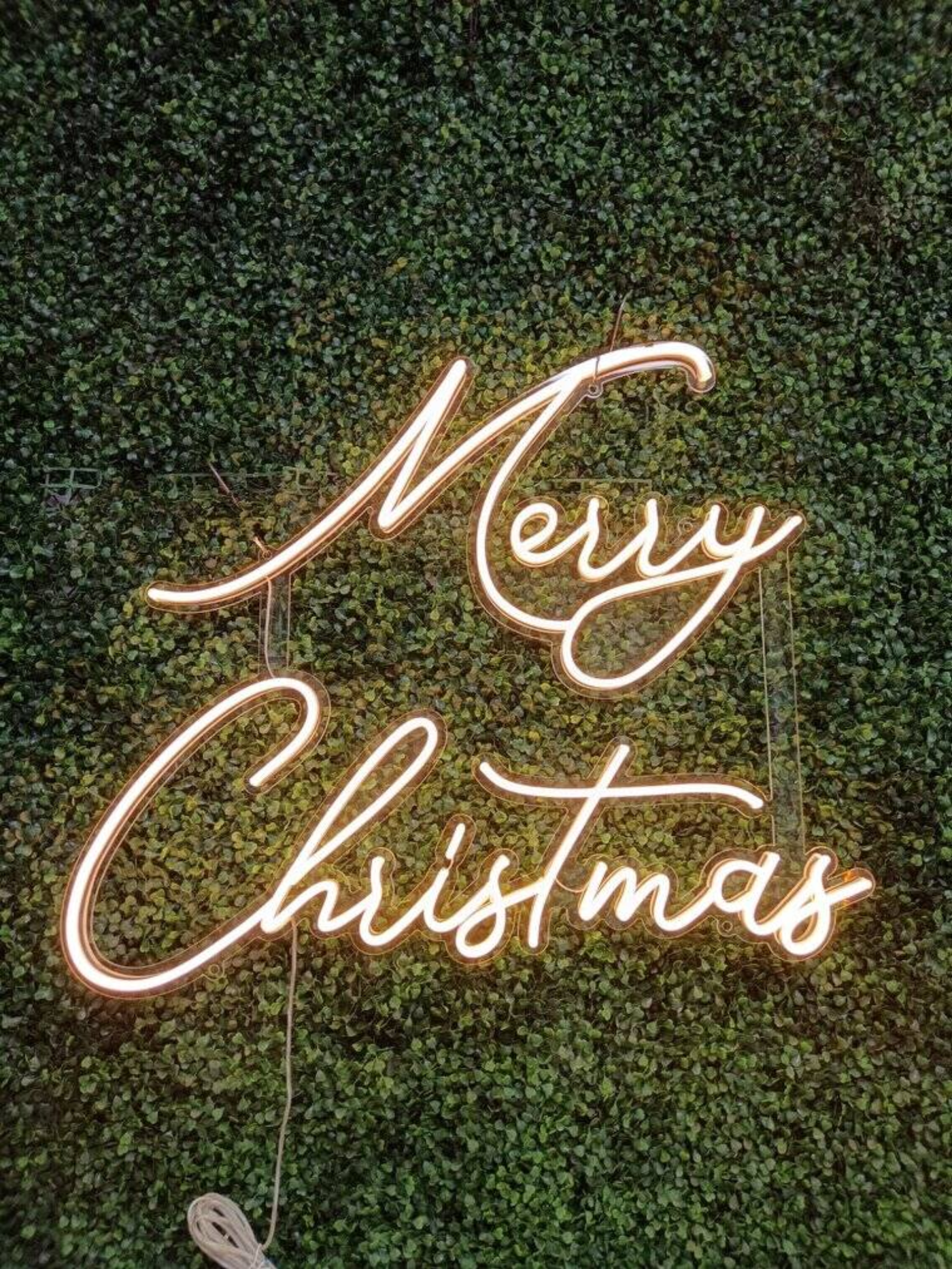 custom neon sign in business interior