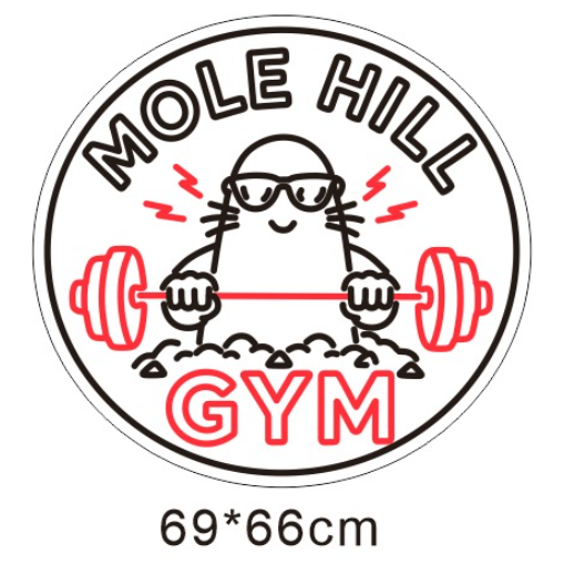 MOLE HILL GYM - Exclusive - Neon Now with FREE Remote Control, Accessories and Woldwide  Delivery.