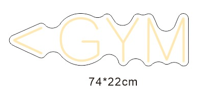 2 x GYM Package - TL Exclusive - Neon Now with FREE Remote Control, Accessories and Woldwide  Delivery.