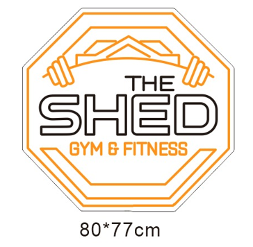 THE SHED (Full) - Exclusive - Neon Now with FREE Remote Control, Accessories and Woldwide  Delivery.