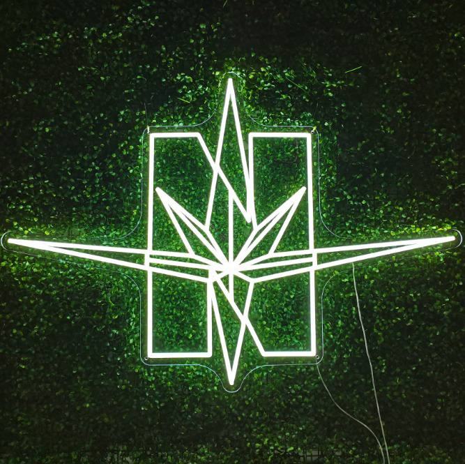 Neon sign ideas for Nova Tattoo