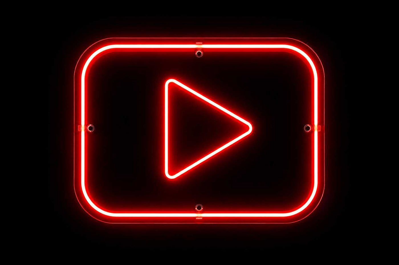custom neon sign in business interior